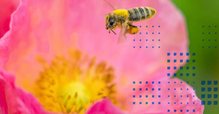 Landing Page Design with SEO in Mind